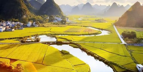 完结的田园小说排行榜(最经典穿越小说排行榜)插图9 完结的田园小说排行榜(最经典穿越小说排行榜)插图9