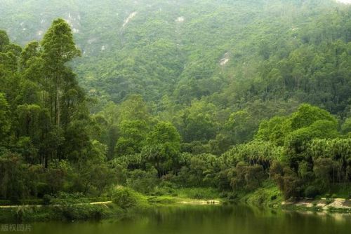 江门好玩的地方排行榜(江门蓬江区有什么好玩的地方)插图23 江门好玩的地方排行榜(江门蓬江区有什么好玩的地方)插图23