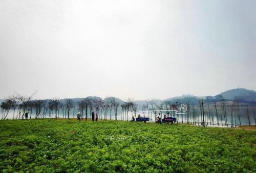 增城好玩的地方排行榜(广州增城区旅游景点)插图31