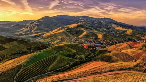 完结的田园小说排行榜(最经典穿越小说排行榜)插图6 完结的田园小说排行榜(最经典穿越小说排行榜)插图6