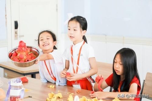 深圳夏令营排行榜(夏令营15天一般多少钱)插图3 深圳夏令营排行榜(夏令营15天一般多少钱)插图3
