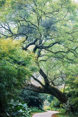 抚州的景点排名前十(抚州十大旅游景点)插图35 抚州的景点排名前十(抚州十大旅游景点)插图35