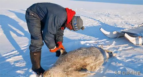 世界最臭美食排行榜(世界上十大最臭的食物是什么)插图20 世界最臭美食排行榜(世界上十大最臭的食物是什么)插图20