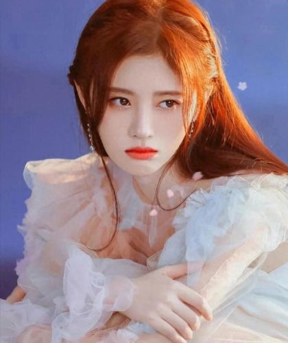 女星排行榜前100名(中国女星一览表)插图 女星排行榜前100名(中国女星一览表)插图