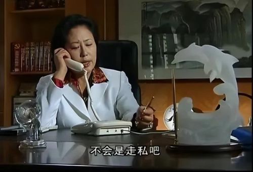 反贪电视剧排行榜(十部顶级反贪电视剧国家)插图8 反贪电视剧排行榜(十部顶级反贪电视剧国家)插图8