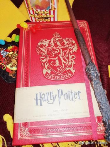 大学必读的书籍排行榜(央视推荐的30本好书)插图6 大学必读的书籍排行榜(央视推荐的30本好书)插图6