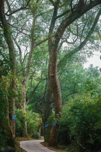 抚州的景点排名前十(抚州十大旅游景点)插图34 抚州的景点排名前十(抚州十大旅游景点)插图34