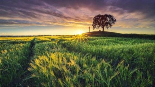 主播类小说排行榜(超级惊悚直播 内容)插图5 主播类小说排行榜(超级惊悚直播 内容)插图5