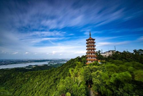 江门好玩的地方排行榜(江门蓬江区有什么好玩的地方)插图29 江门好玩的地方排行榜(江门蓬江区有什么好玩的地方)插图29