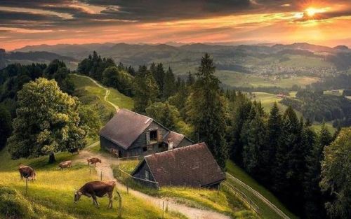 完结的田园小说排行榜(最经典穿越小说排行榜)插图3 完结的田园小说排行榜(最经典穿越小说排行榜)插图3