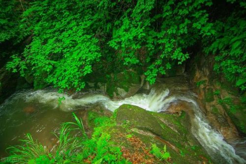 抚州的景点排名前十(抚州十大旅游景点)插图20 抚州的景点排名前十(抚州十大旅游景点)插图20