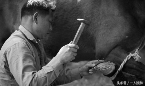 兰州皮革围裙排名前十(皮革专业)插图 兰州皮革围裙排名前十(皮革专业)插图