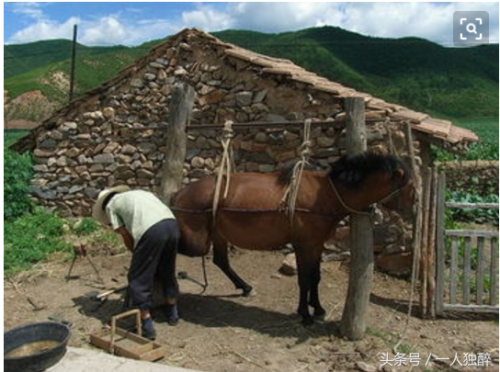 兰州皮革围裙排名前十(皮革专业)插图2 兰州皮革围裙排名前十(皮革专业)插图2