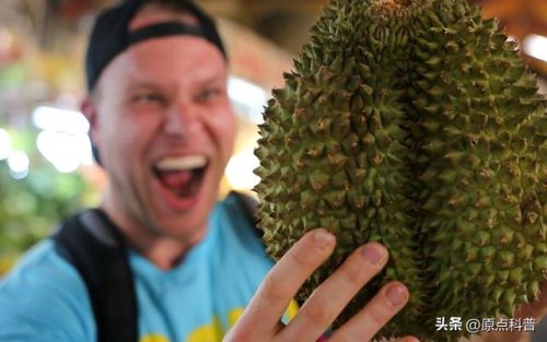 世界最臭美食排行榜(世界上十大最臭的食物是什么)插图11 世界最臭美食排行榜(世界上十大最臭的食物是什么)插图11