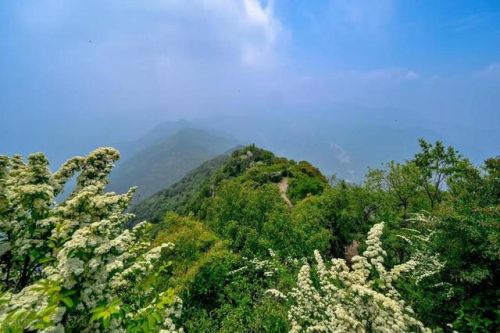 江门好玩的地方排行榜(江门蓬江区有什么好玩的地方)插图26 江门好玩的地方排行榜(江门蓬江区有什么好玩的地方)插图26