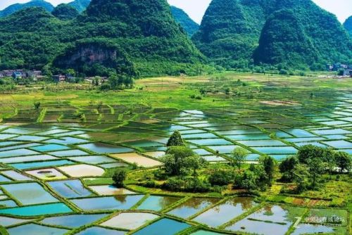 完结的田园小说排行榜(最经典穿越小说排行榜)插图10 完结的田园小说排行榜(最经典穿越小说排行榜)插图10