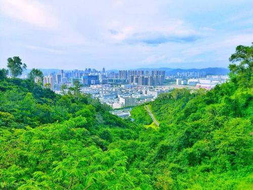 江门好玩的地方排行榜(江门蓬江区有什么好玩的地方)插图30 江门好玩的地方排行榜(江门蓬江区有什么好玩的地方)插图30