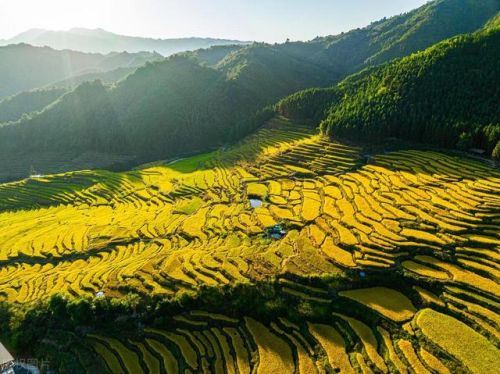 清远好玩的地方排行榜(广东旅游景点门票价格)插图41 清远好玩的地方排行榜(广东旅游景点门票价格)插图41