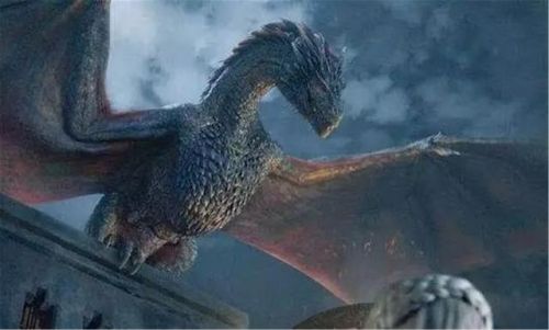 异界刺客小说排行榜(主角是刺客的异界长篇小说)插图9