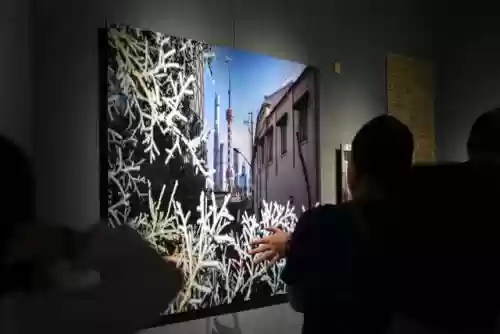 上海十大热门镜头(适马最牛人像镜头)插图5