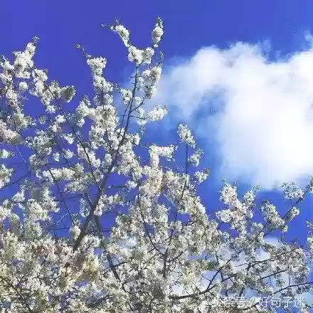 快手十大热门语句(快手怎么上热门)插图3 快手十大热门语句(快手怎么上热门)插图3