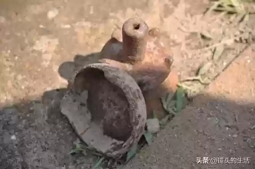 80后十大古董(80年代古玩界十大捡漏)插图1