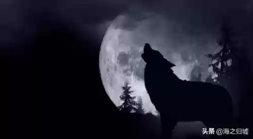 2012十大谣言(世界十大谣言)插图