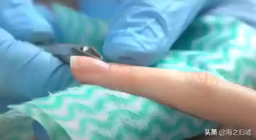 2012十大谣言(世界十大谣言)插图11