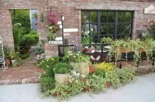 上海十大花木公司(花艺品牌排行前十名)插图 上海十大花木公司(花艺品牌排行前十名)插图