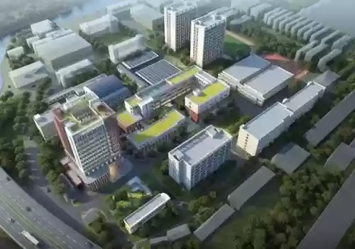 2019十大热门品类(十大热销产品都有什么)插图8