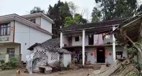 20世纪十大书法家(近现代十大书法家)插图13