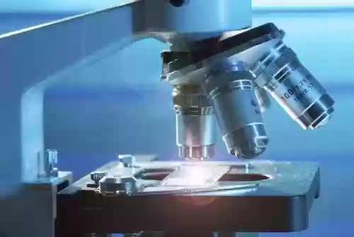 面包隧道炉十大品牌(高温隧道炉生产厂家)