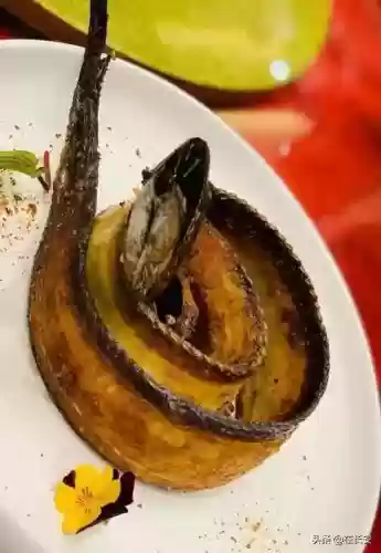 磐安牛排十大品牌(网上牛排哪个牌子的好)插图41