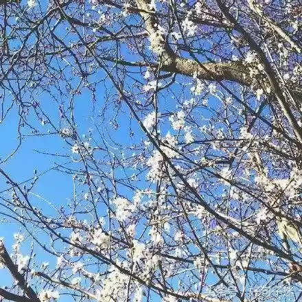 快手十大热门语句(快手怎么上热门)插图7 快手十大热门语句(快手怎么上热门)插图7