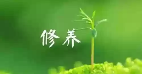 修养的十大重点(个人修养的四个方面)