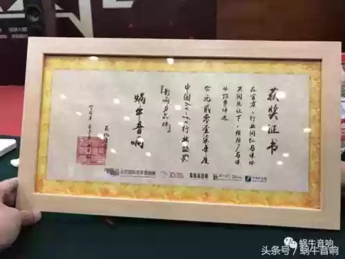 蜗牛喇叭十大品牌(全球顶级音响十大名牌)插图6