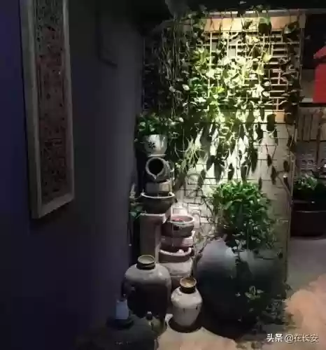 磐安牛排十大品牌(网上牛排哪个牌子的好)插图74