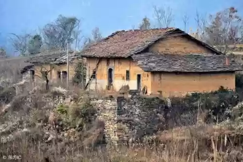 2010新浪十大好书(中国销量最好的十本书)插图5