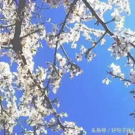 快手十大热门语句(快手怎么上热门)插图6 快手十大热门语句(快手怎么上热门)插图6