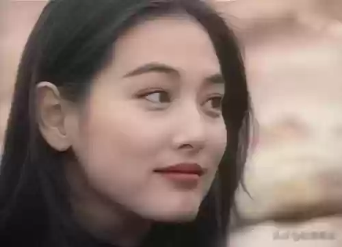 西安最美十大女星排名(陕西的女明星有哪些)插图42 西安最美十大女星排名(陕西的女明星有哪些)插图42