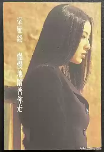 广东十大歌名排名(广东最有代表性的歌)插图33