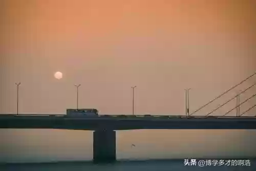 2019十大奇葩事(奇葩趣事)插图1