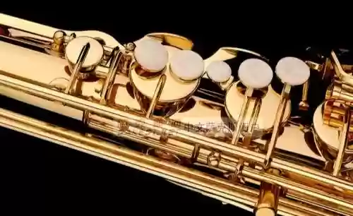 世界十大萨克斯名牌(国产萨克斯品牌排行榜)插图3