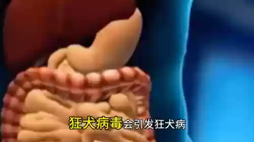 中国十大天疫(十大瘟疫排名)