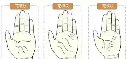 十大稀有手纹纹样(十大特殊手纹)插图2