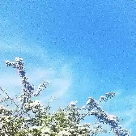 快手十大热门语句(快手怎么上热门)插图2 快手十大热门语句(快手怎么上热门)插图2