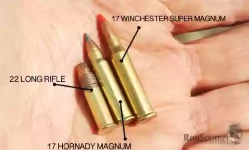 民用十大生存步枪图片(十大野外生存枪)插图4