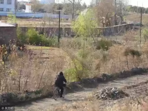 2010新浪十大好书(中国销量最好的十本书)插图4