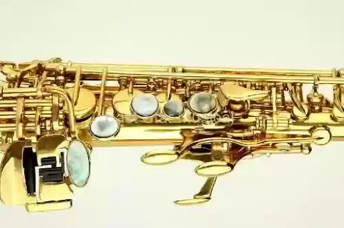 世界十大萨克斯名牌(国产萨克斯品牌排行榜)插图5