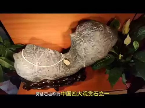 2019十大奇石(中国十大奇石)插图